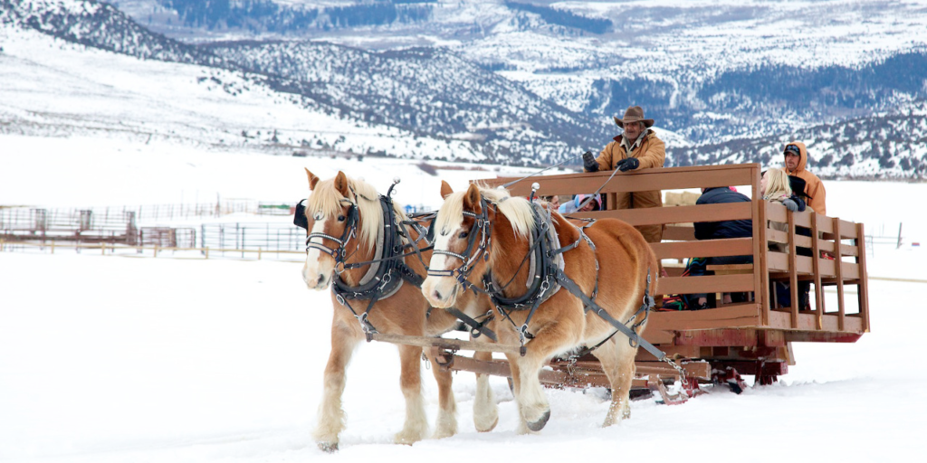horse drawn sleigh ride at 4 Eagle Ranch